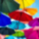 Diverse styles of boys' umbrellas showcasing functionality and design.