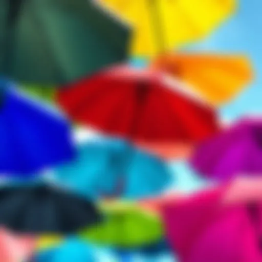 Diverse styles of boys' umbrellas showcasing functionality and design.