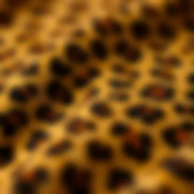 Close-up of leopard print fabric showcasing its texture