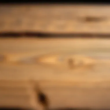 A well-maintained wooden surface highlighting the protective benefits of wood paint