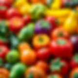 Colorful assortment of fruit and vegetable toys