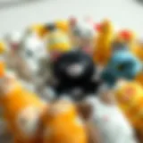 Cute plush cat toys arranged in a circle